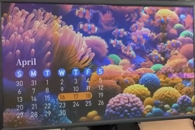 Ming Display® 2.0 von IRIS Optronics: Farb-E-Paper trifft auf LCD für flexible visuelle Lösungen